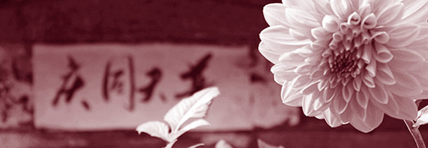 An Image Slideshow