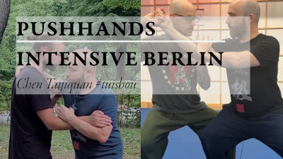 chen style taijiquan pushhands