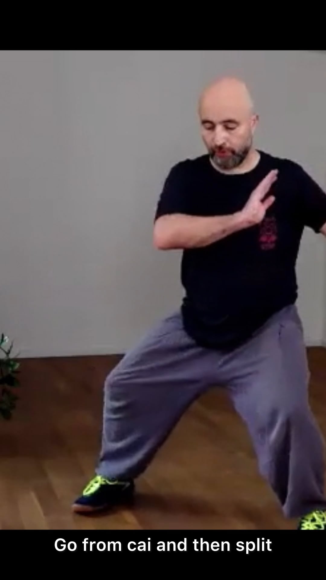 Taijiquan-Übung mit acht angedeuteten Kraftrichtungen