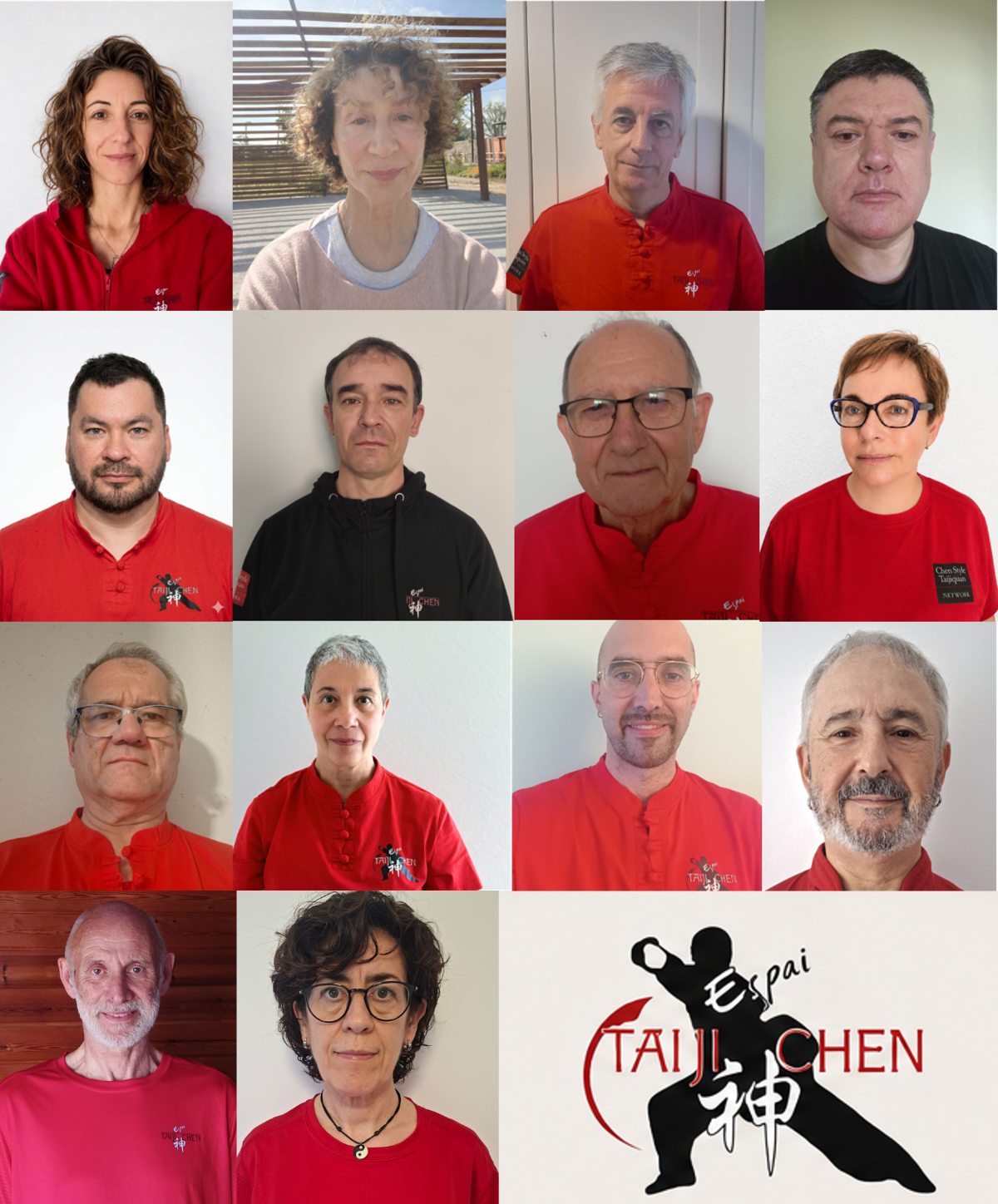 Equipo de instructores de Chen Taijiquan en España