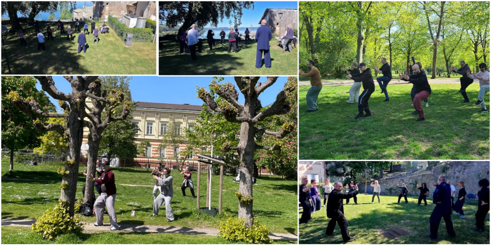 Welt Taiji Tag 2026 Chen-Style Taijiquan