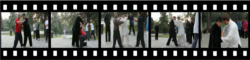 Pushhands Chen-Style Taichi Taijiquan