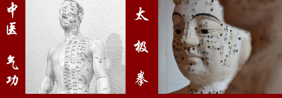 TCM Medizin Traditionelle Chinesische Tai-chi Taiji Qigong Chen-Stil