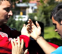 taijiquan taichi pushhands tuishou