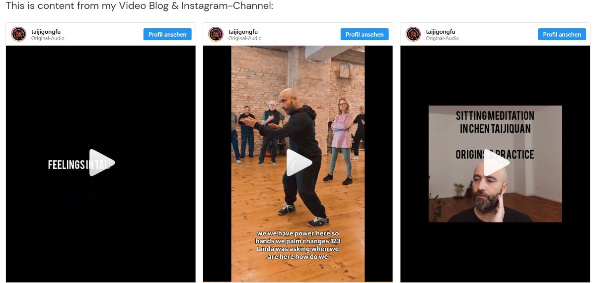 chen shiwu taiji taichi