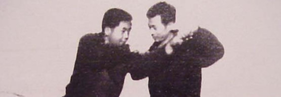 Chen Zhaokui Taijiquan